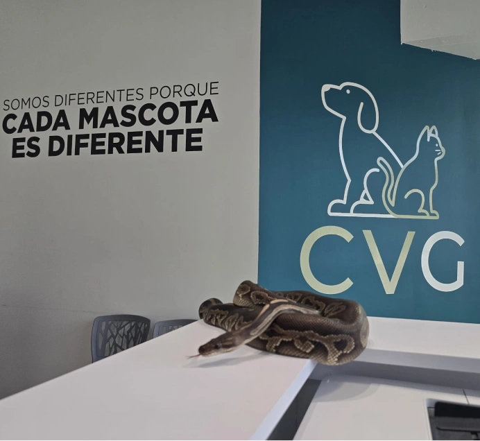 Bienvenidos a Clinica Veterinaria Guaynabo